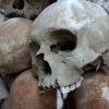 skulls-g4f0ff3ce9_1920.jpg
