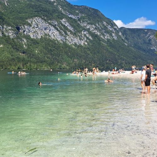 m5f21_170-vogar-bohinj-2.jpg