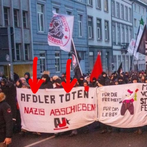 s412q_afd-protesti-nemcija-antifa.jpg