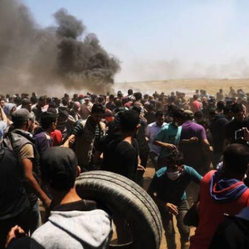 gaza.jpg