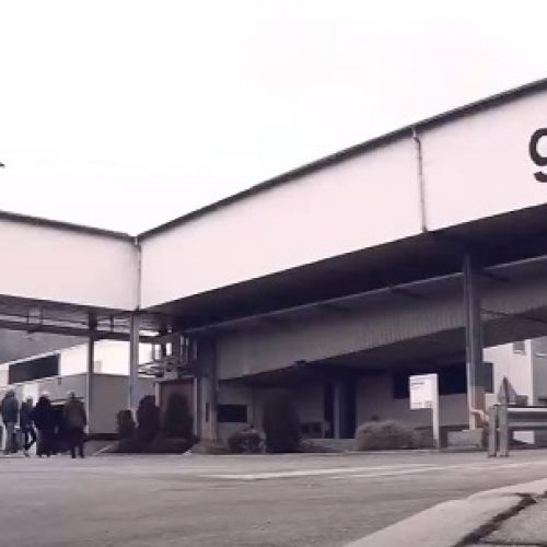 gorenje.jpg