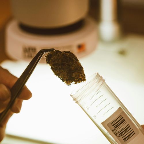hzfe4_hemp.jpg