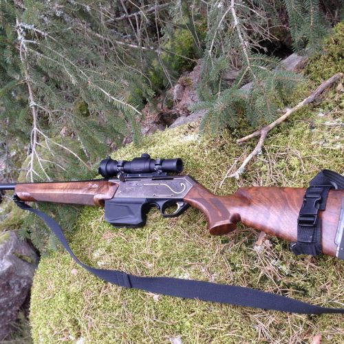 hunting-261632_1280.jpg