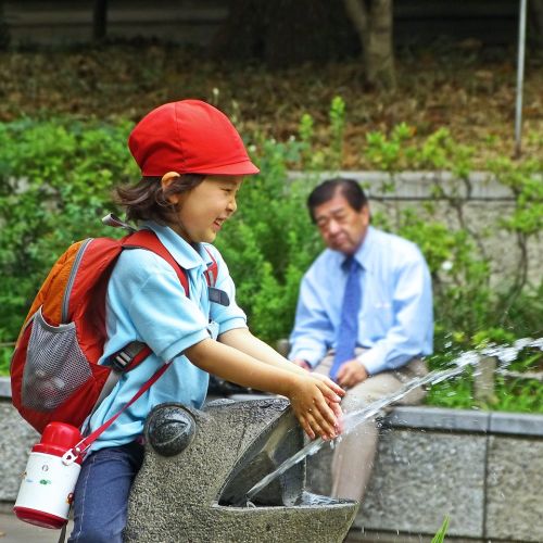 japan-218646_1280.jpg