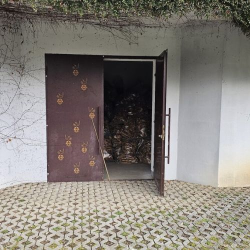 xbpjk_kosti-iz-macesnove-gorice-skladisc.jpg