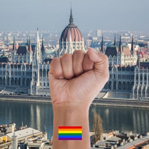 madzari-lgbrq.jpg