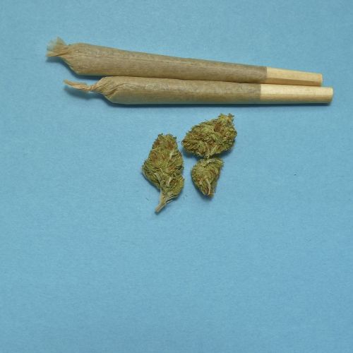 5zwjr_marijuana-2248066-1920.jpg