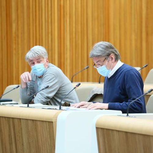 miro-petek-vasko-simoniti.jpg