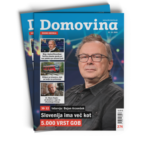 https://domovina.je/storage/images