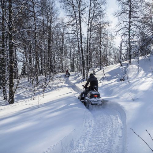 8sj2i_motornesani.jpg