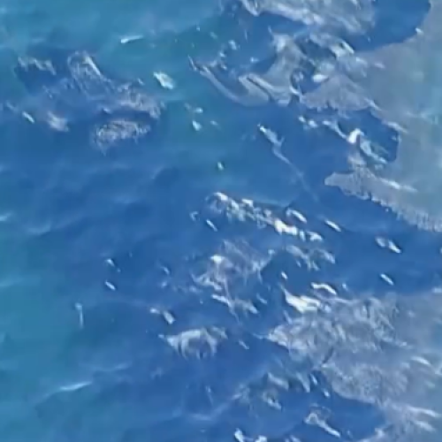 78eq0_screenshot-2024-03-09-at-19-33-20-20-video-facebook.png