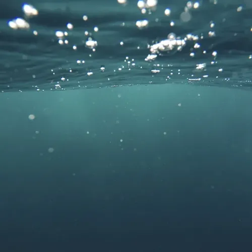 ocean.webp