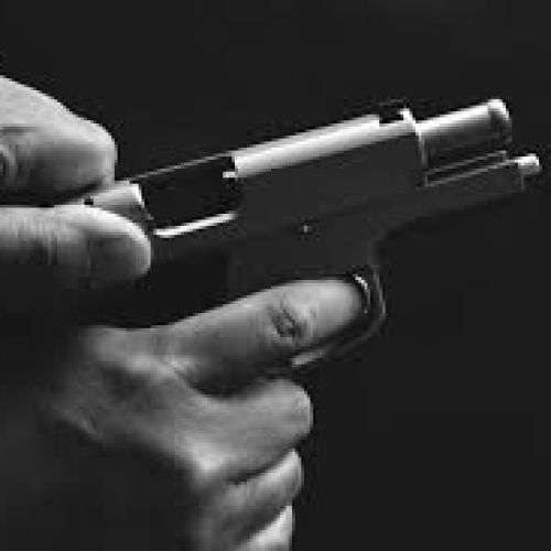 pistola_.jpg