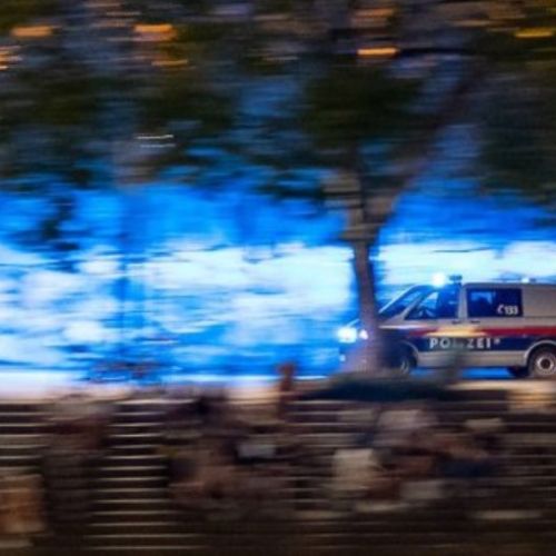 Polizei_PolicijaDunaj.jpg