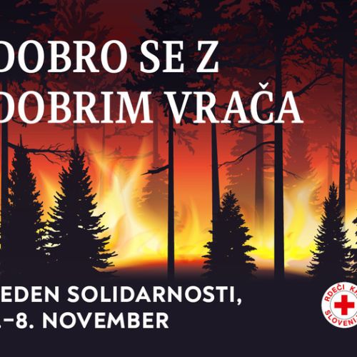RKS_Teden_Solidarnosti_FBx900_b.jpg