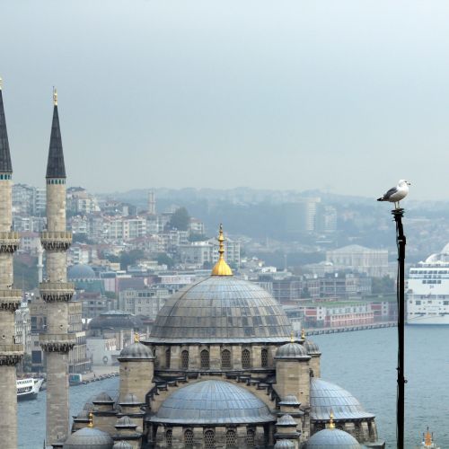 seagulls-minaret-turčija-istanbul.jpg