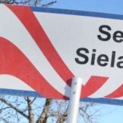 sele.jpg
