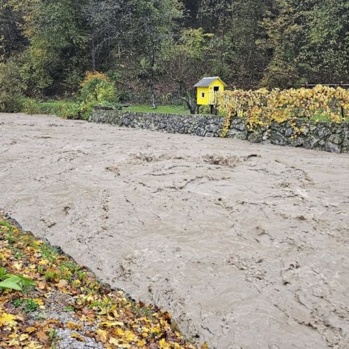 jsfjv_sra-fotoarsoiztokcolja.jpg