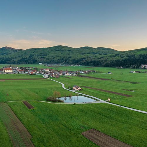 dobrepolje, narava, razgled, vas
