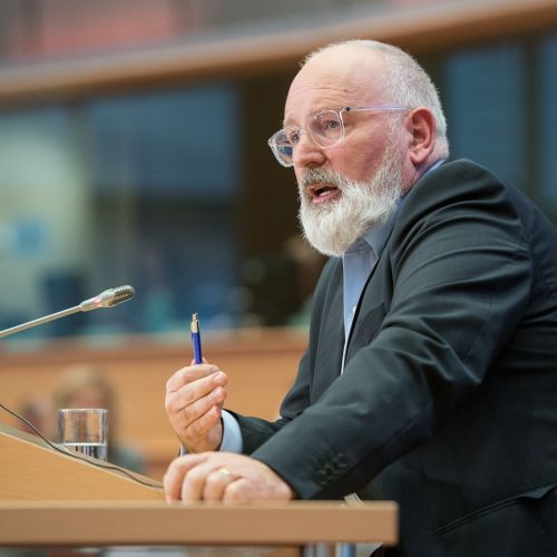 timmermans.jpg