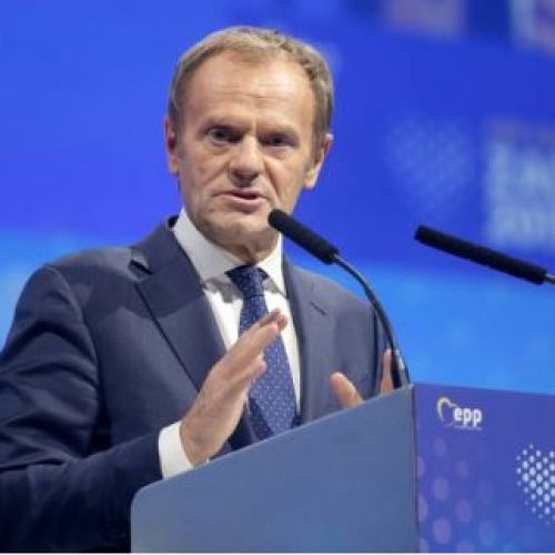 tusk-ge.jpg
