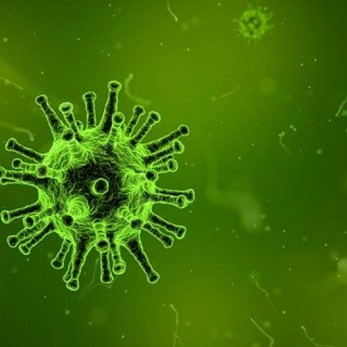 virus.jpg