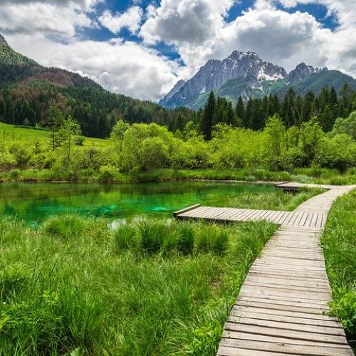 zelenci_slovenija_znamenitosti.jpg