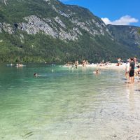 m5f21_170-vogar-bohinj-2.jpg